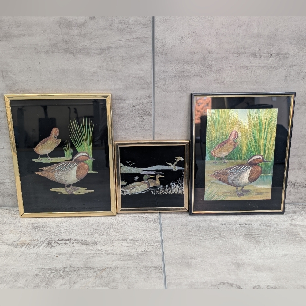 Framed Duck Artwork Trio - Brown and Green Home Art